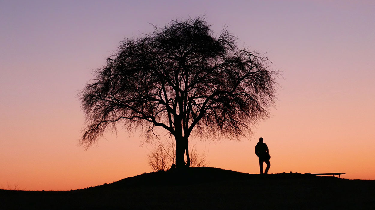 MYCO’s Carbon Offsetting through the ‘Tree Buddying’ project
